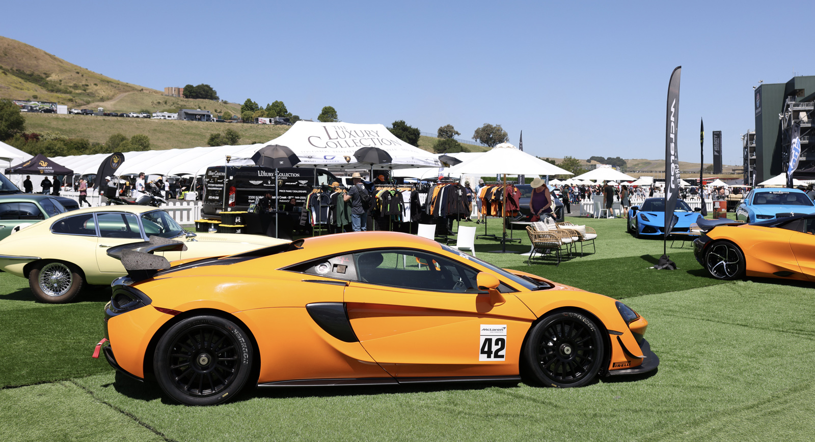 Paddock space