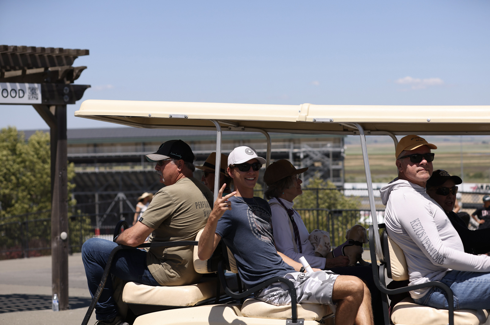 Golf cart team