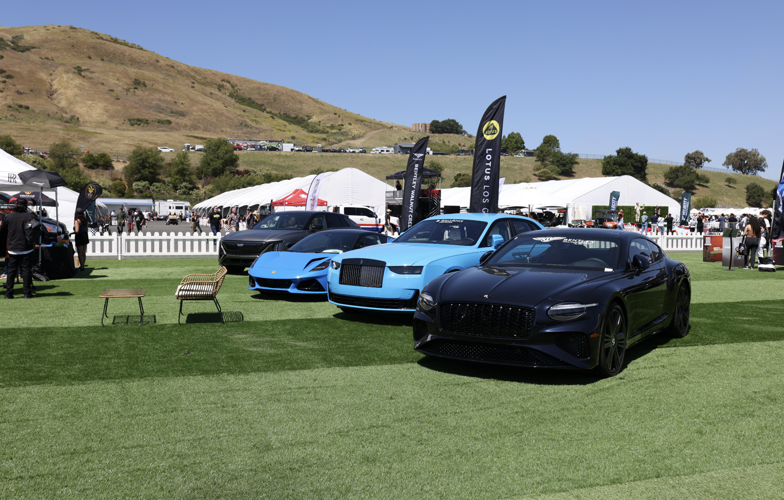 Bentleys lined up